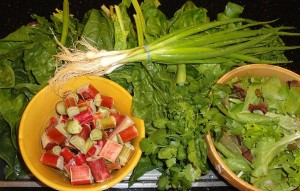 Spinach, Herbs, Onions, & Rhubarb