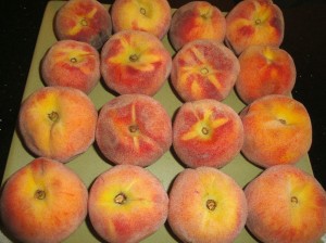 FreshPeaches Fresh peaches from Grant Family Farms