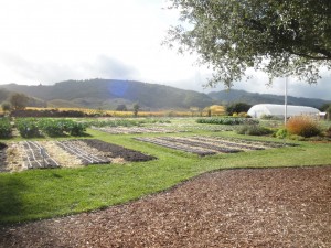 FrenchLaundryGardens. French Laundry Gardens