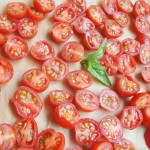 TomatoesonSheet2012