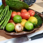 CactusLeavesSalad Nopales (cactus) leaves ready for roasting