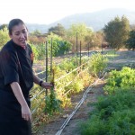 RanchoLaPuertaSept2013 154 Rancho La Puerta Organic Garden